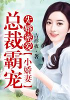 总裁霸宠小娇妻 作者: 吉祥夜百度云