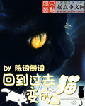 回到过去变成猫6