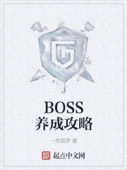 BOSS的养成之路