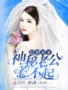 隐婚溺宠：神秘老公,惹不起