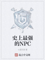 最强npc小说