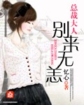 总裁大人:别来无恙 丁仙女