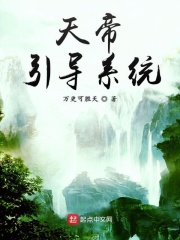 天帝引导系统