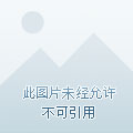 算算大师app