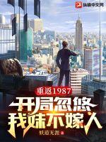 重返1987:开局忽悠我妹不嫁人 小说