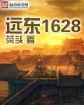 类似远东1628类型的穿越类小说