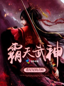 霸天武神 小说