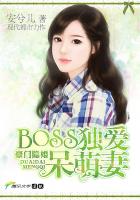 豪门隐婚:BOSS独爱呆萌妻 小说