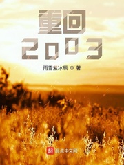 重生从2003开始